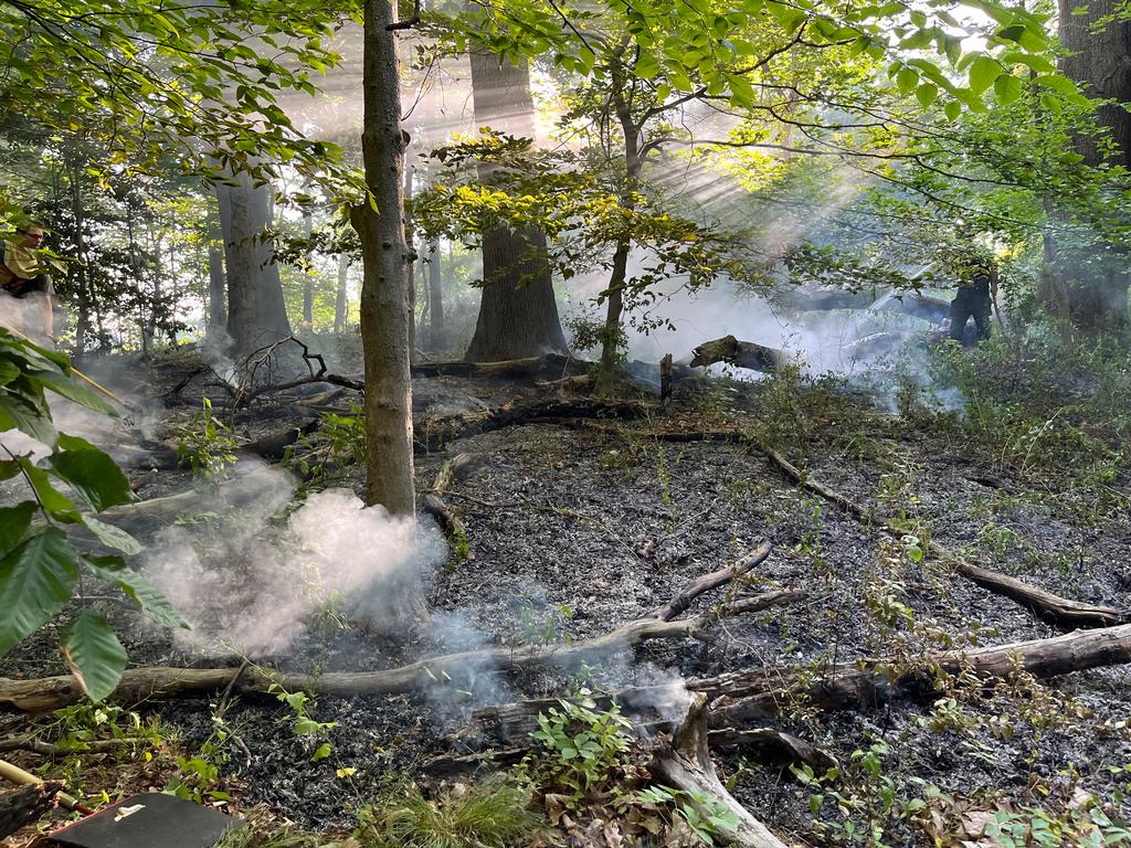 As firefighters extinguished the brush throughout the woods, chainsaws were also used to cut up several dead trees that were also burning. 
