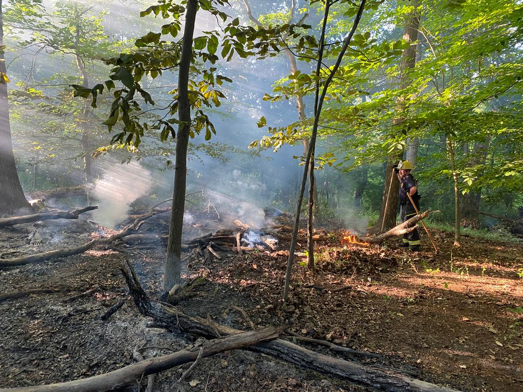 Firefighters cleared a fire line around the fire to stop it from spreading to other dry brush in the woods.